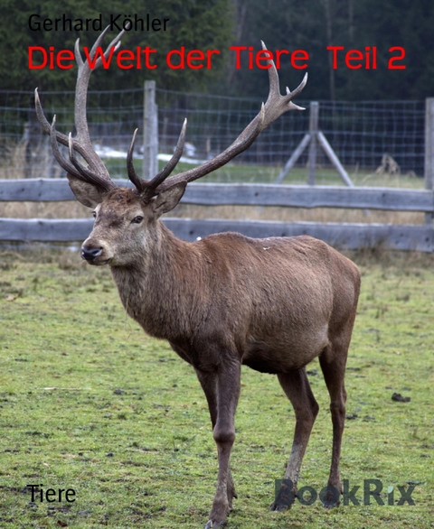 Die Welt der Tiere  Teil 2 - Gerhard Köhler