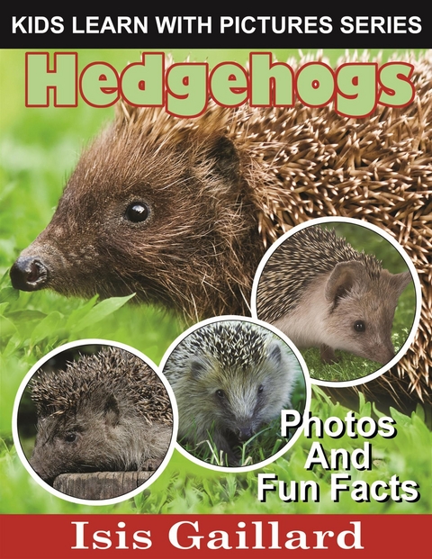 Hedgehogs: Photos and Fun Facts for Kids - Isis Gaillard