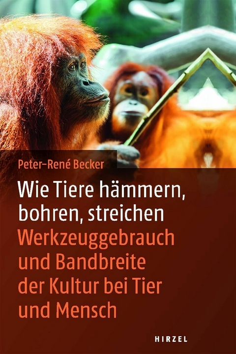 Wie Tiere hämmern, bohren, streichen -  Peter-Rene Becker