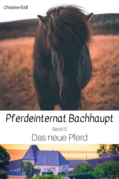 Das neue Pferd -  Christine Rödl