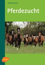 Pferdezucht - Otto Hartmann