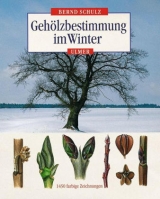 Gehölzbestimmung im Winter - Bernd Schulz