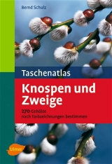 Taschenatlas Knospen und Zweige - Bernd Schulz