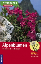 Alpenblumen - Xaver Finkenzeller