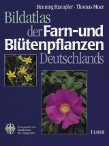 Bildatlas der Farn- und Blütenpflanzen Deutschlands - Henning Haeupler, Thomas Muer