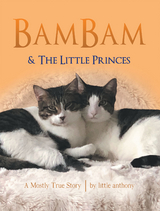 Bambam & the Little Princes -  Little Anthony