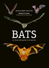 Bats - Marianne Taylor