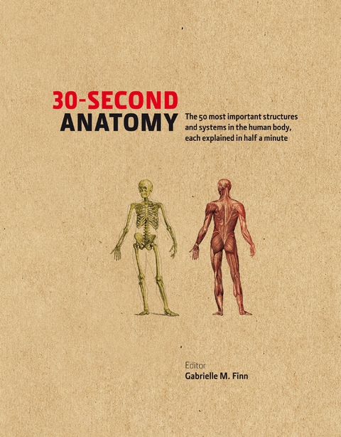 30-Second Anatomy - Gabrielle M Finn, Judith Barbaro-Brown, Claire France Smith