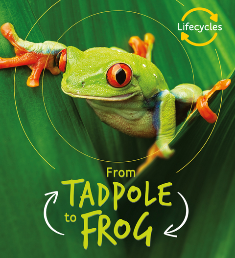 Lifecycles: Tadpole to Frog - Camilla de la Bedoyere