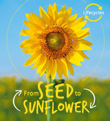 Lifecycles: Seed to Sunflower -  Camilla De La Bedoyere