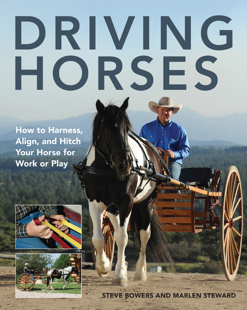 Driving Horses - Steve Bowers, Marlen Steward