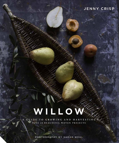 Willow - Jenny Crisp