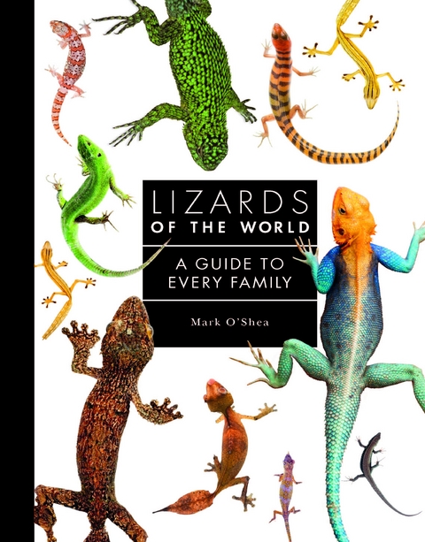 Lizards of the World -  Mark O'Shea