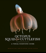 Octopus, Squid & Cuttlefish -  Louise Allcock,  Roger Hanlon,  Mike Vecchione