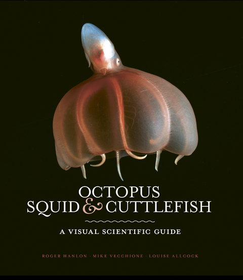 Octopus, Squid & Cuttlefish -  Louise Allcock,  Roger Hanlon,  Mike Vecchione