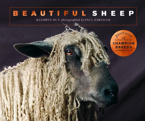 Beautiful Sheep -  Kathryn Dun