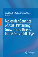 Molecular Genetics of Axial Patterning, Growth and Disease in the Drosophila Eye - 