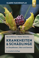 Krankheiten & Schädlinge an Zierpflanzen, Obst und Gemüse - Bernd Böhmer, Walter Wohanka