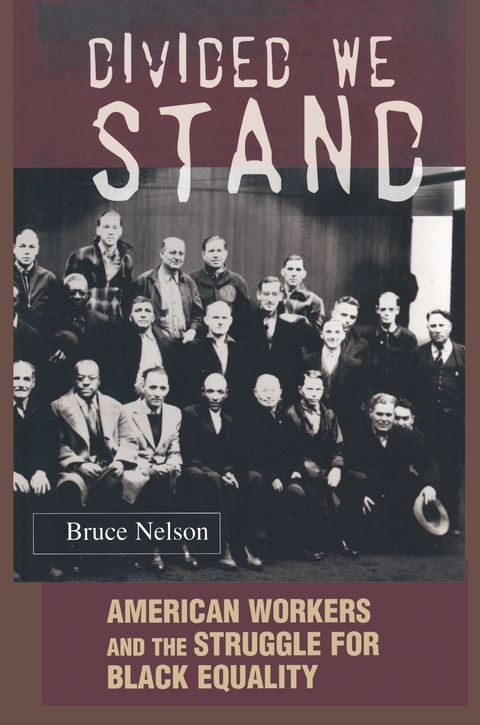 Divided We Stand - Bruce Nelson