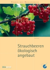 Strauchbeeren ökologisch angebaut - Andi Schmid