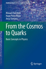 Basic Concepts in Physics - Masud Chaichian, Hugo Perez Rojas, Anca Tureanu