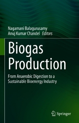 Biogas Production - 