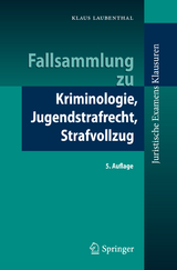 Fallsammlung zu Kriminologie, Jugendstrafrecht, Strafvollzug - Klaus Laubenthal