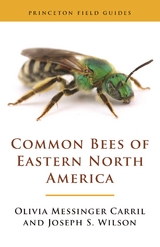 Common Bees of Eastern North America -  Olivia Messinger Carril,  Joseph S. Wilson