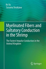 Myelinated Fibers and Saltatory Conduction in the Shrimp - Ke Xu, Susumu Terakawa