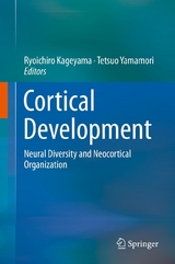 Cortical Development - 