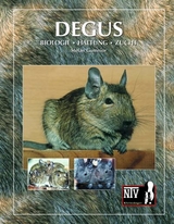 Degus - Stefan Gumnior