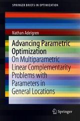 Advancing Parametric Optimization - Nathan Adelgren