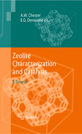 Zeolite Characterization and Catalysis - 