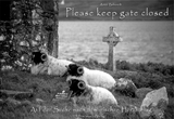 Please keep gate closed - Astrid Behrendt