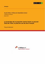 La protection de la propriété comme limite au pouvoir fiscal de l´État, le point de vue du droit français