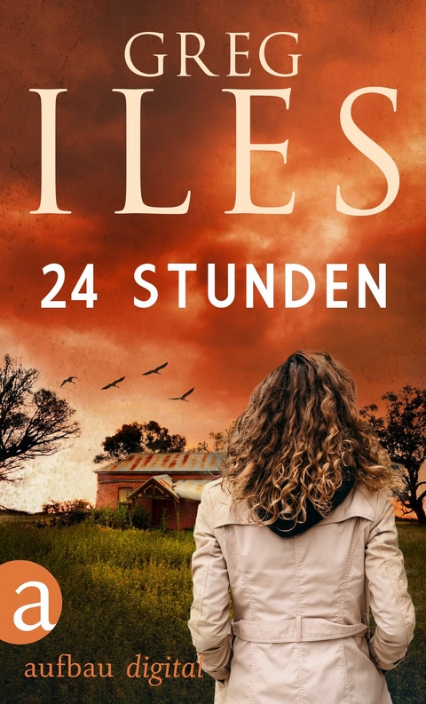 24 Stunden - Greg Iles