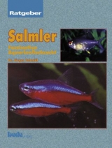 Ratgeber Salmler - Jürgen Schmidt