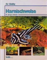 Harnischwelse - Jürgen Schmidt