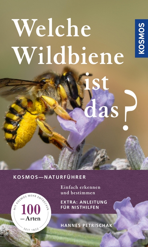 Welche Wildbiene ist das? - Hannes Petrischak