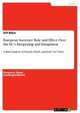 European Societies’ Role and Effect Over the EU’s Deepening and Integration - Elif Biber