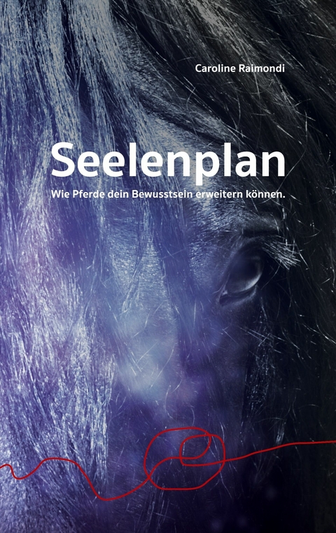 Seelenplan - Caroline Raimondi