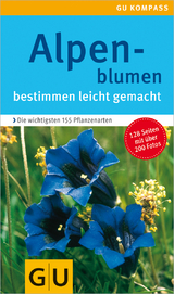 Alpenblumen - 