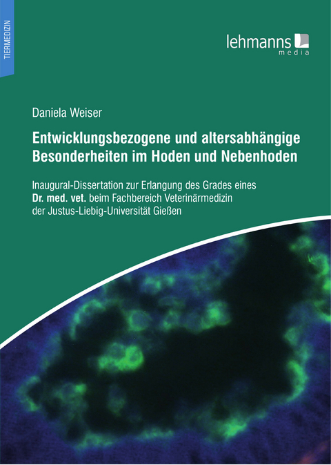 Entwicklungsbezogene und altersabhängige Besonderheiten im Hoden und Nebenhoden - Daniela Weiser