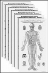 Die topographisch-anatomischen Grundlagen der chinesischen Akupunktur und Ohrakupunktur - Schnorrenberger, Claus C