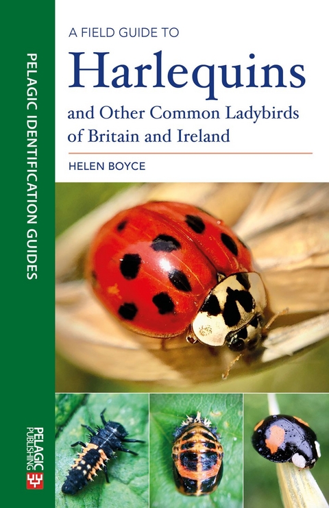 A Field Guide to Harlequins and Other Common Ladybirds of Britain and Ireland - Helen Boyce