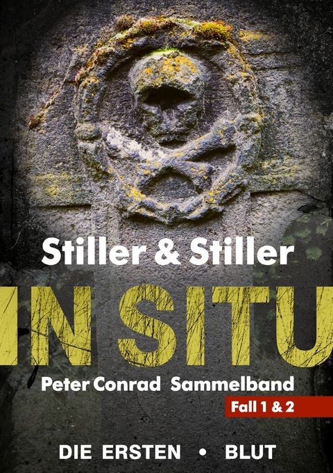 In Situ - Barry Stiller, Dana Stiller