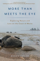 More Than Meets the Eye -  Margie Patlak