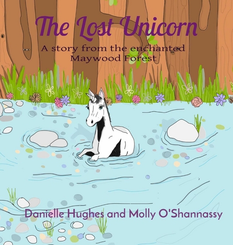 The Lost Unicorn - Danielle Hughes