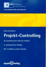 Projekt-Controlling - Demleitner, Klaus