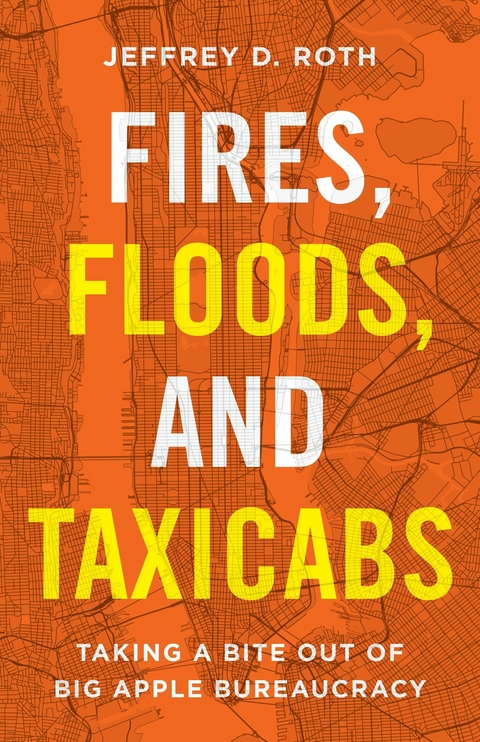 Fires, Floods, and Taxicabs -  Jeffrey D. Roth